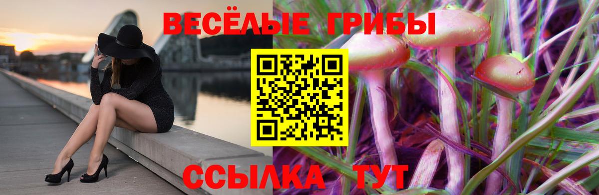 Галлюциногенные грибы MAGIC MUSHROOMS  Псилоцибиновые грибы мухоморы  Вход с VPN  как найти   Сибай 